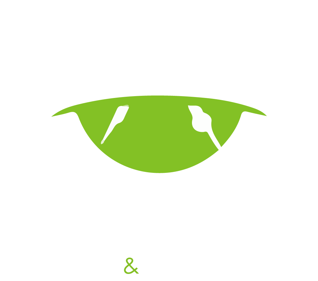 Logo da Projecon
